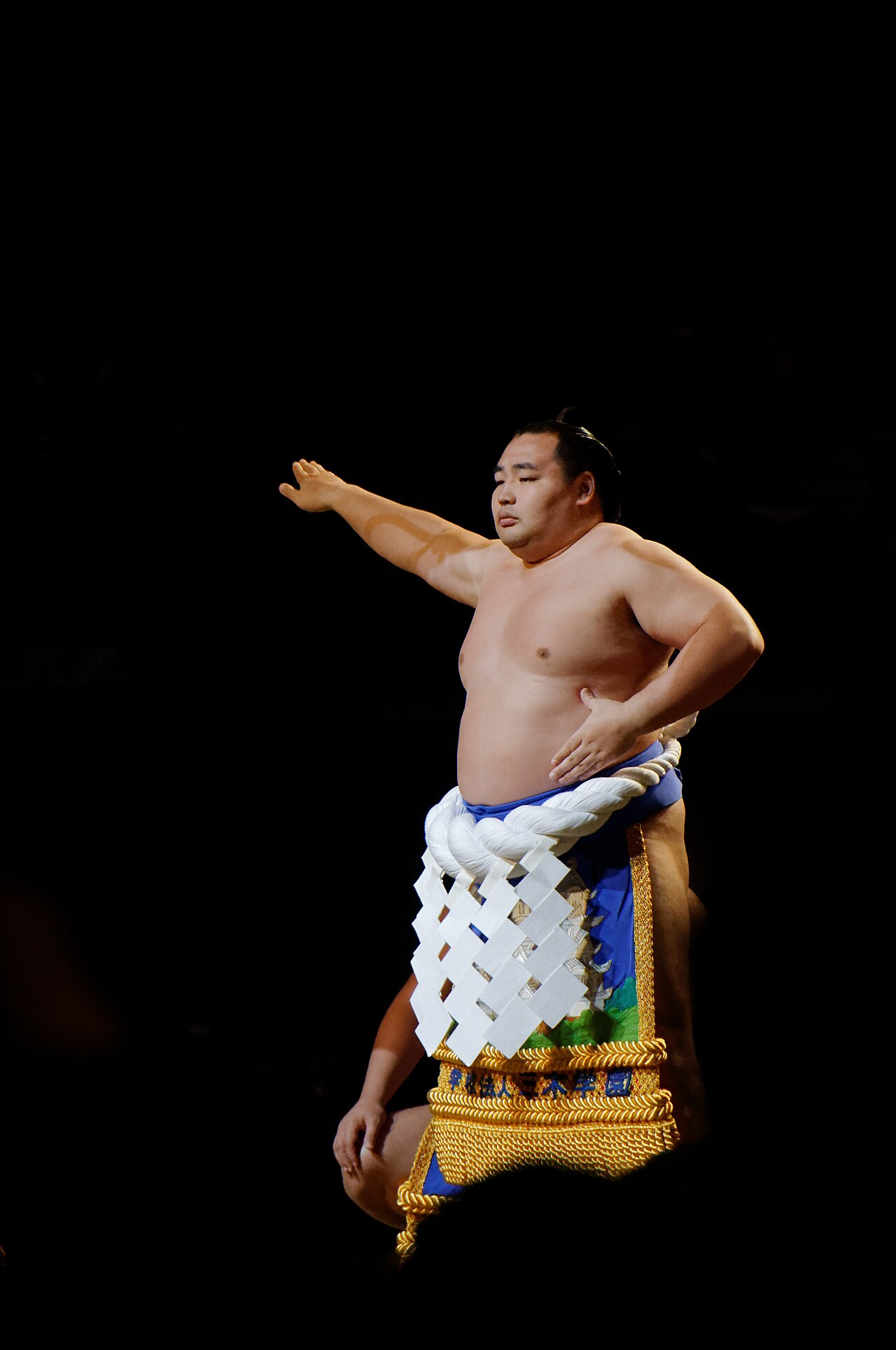 モンゴル出身の横綱 鶴竜(日本の相撲界)